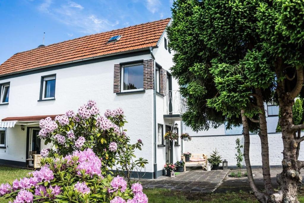 Schoenes Haus Mit Grossem Garten Seligenstadt Exterior photo